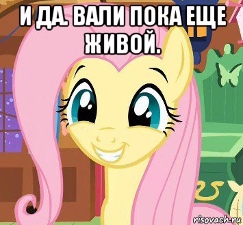 и да. вали пока еще живой. 
