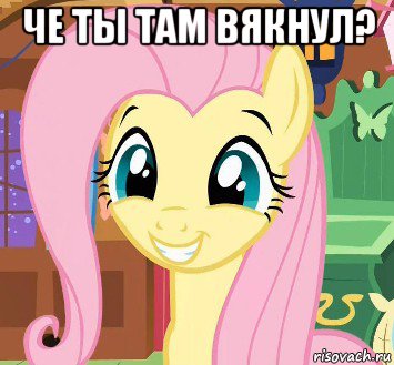 че ты там вякнул? 