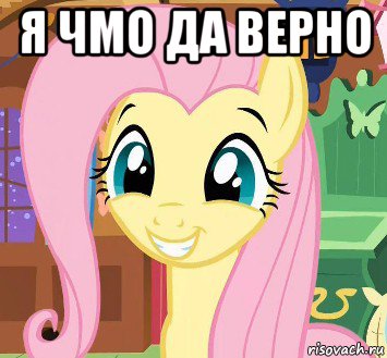 я чмо да верно 