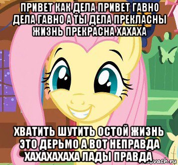 привет как дела привет гавно дела гавно а ты дела прекласны жизнь прекрасна хахаха хватить шутить остой жизнь это дерьмо а вот неправда хахахахаха лады правда
