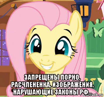  запрещены порно, расчлененка, изображения, нарушающие законы рф...