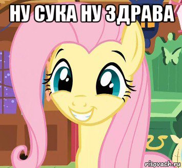 ну сука ну здрава 