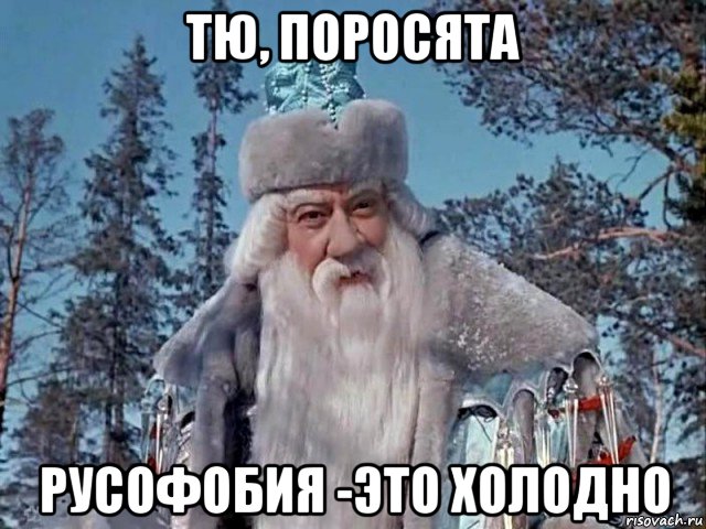 тю, поросята русофобия -это холодно