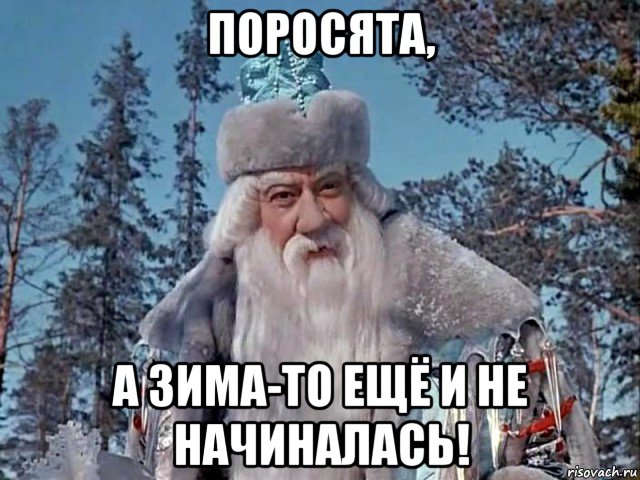 поросята, а зима-то ещё и не начиналась!