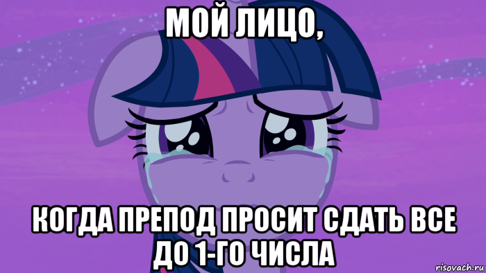 мой лицо, когда препод просит сдать все до 1-го числа