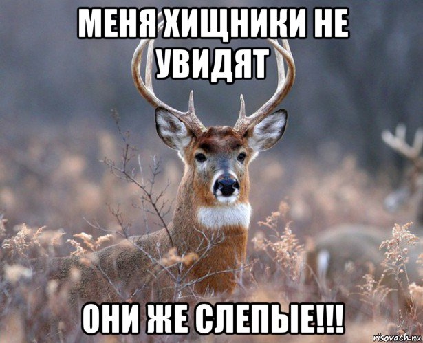 меня хищники не увидят они же слепые!!!, Мем   Наивный олень