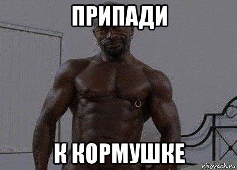 припади к кормушке