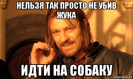 нельзя так просто не убив жука идти на собаку, Мем Нельзя просто так взять и (Боромир мем)