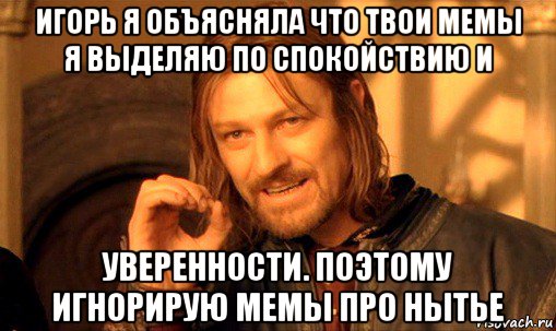 игорь я объясняла что твои мемы я выделяю по спокойствию и уверенности. поэтому игнорирую мемы про нытье, Мем Нельзя просто так взять и (Боромир мем)