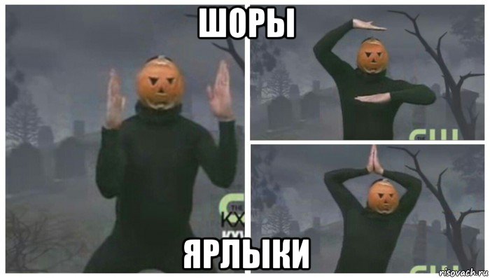 шоры ярлыки, Мем НИ ХУ Я