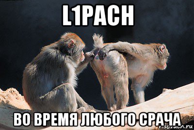 l1pach во время любого срача