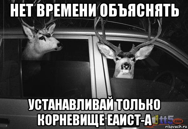 нет времени объяснять устанавливай только корневище еаист-а