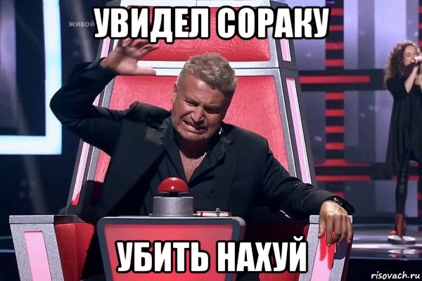 увидел сораку убить нахуй, Мем   Отчаянный Агутин