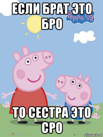 если брат это бро то сестра это сро