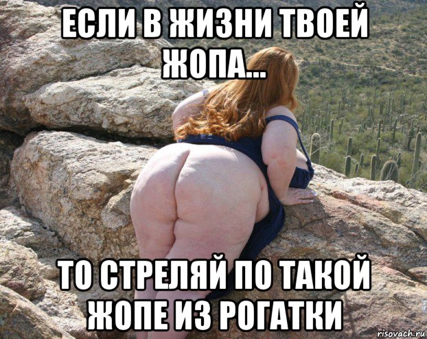 если в жизни твоей жопа... то стреляй по такой жопе из рогатки