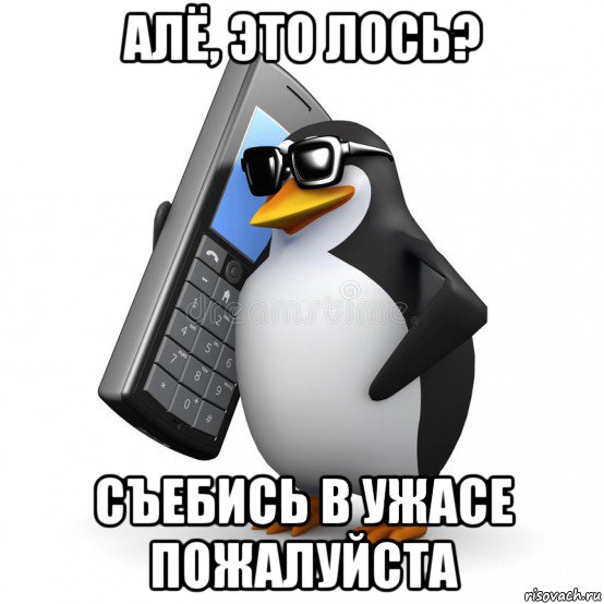 алё, это лось? съебись в ужасе пожалуйста, Мем  Перископ шололо Блюдо