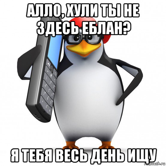 алло, хули ты не здесь еблан? я тебя весь день ищу, Мем   Пингвин звонит