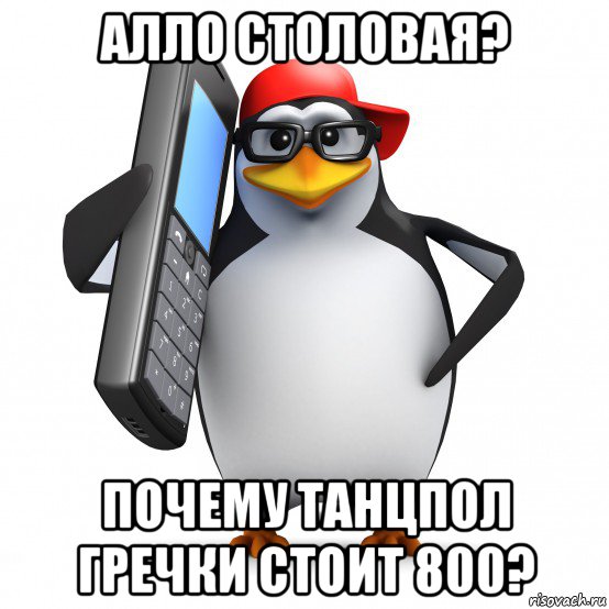 алло столовая? почему танцпол гречки стоит 800?, Мем   Пингвин звонит