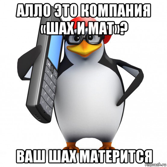 алло это компания «шах и мат»? ваш шах матерится, Мем   Пингвин звонит