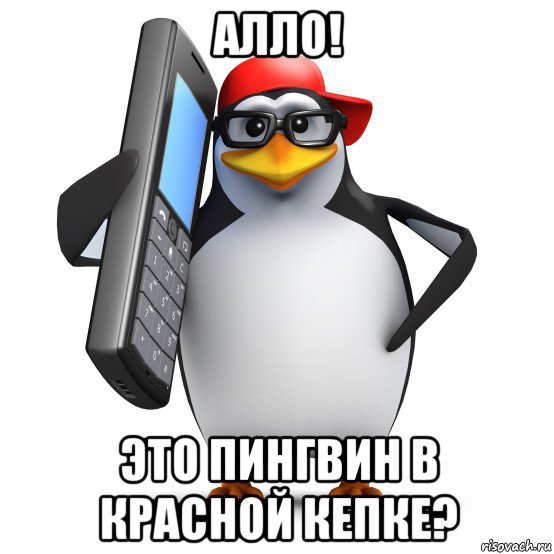 алло! это пингвин в красной кепке?, Мем   Пингвин звонит