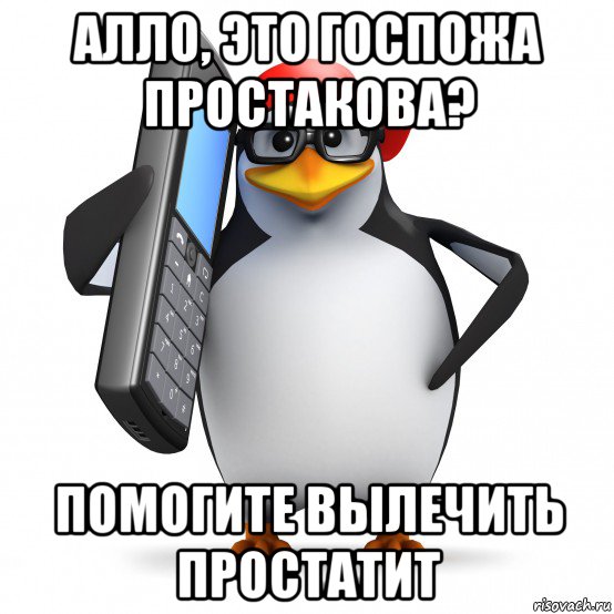 алло, это госпожа простакова? помогите вылечить простатит, Мем   Пингвин звонит