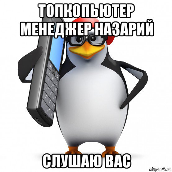 топкопьютер менеджер назарий слушаю вас, Мем   Пингвин звонит