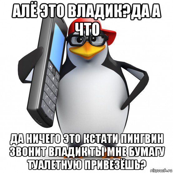 алё это владик?да а что да ничего это кстати пингвин звонит владик ты мне бумагу туалетную привезёшь?, Мем   Пингвин звонит