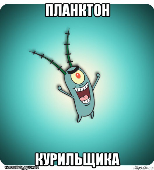 планктон курильщика