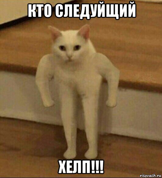 кто следуйщий хелп!!!, Мем  Полукот