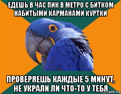 едешь в час пик в метро с битком набитыми карманами куртки проверяешь каждые 5 минут, не украли ли что-то у тебя, Мем Попугай параноик