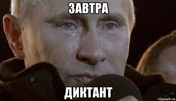 завтра диктант, Мем Плачущий Путин