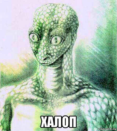  халоп