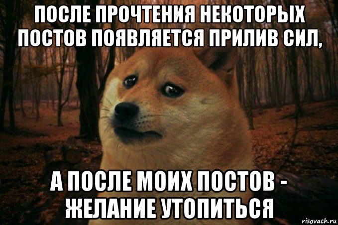 после прочтения некоторых постов появляется прилив сил, а после моих постов - желание утопиться, Мем SAD DOGE