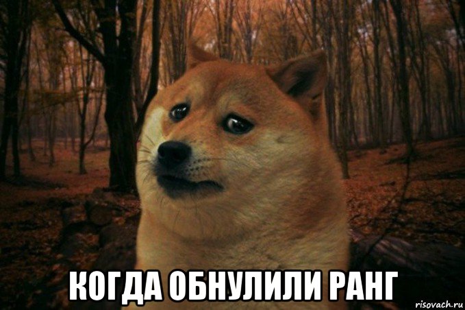  когда обнулили ранг, Мем SAD DOGE