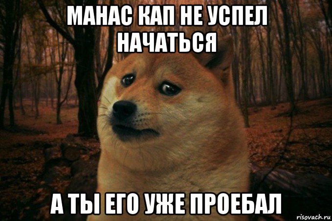 манас кап не успел начаться а ты его уже проебал, Мем SAD DOGE