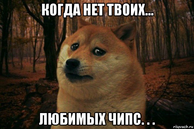 когда нет твоих... любимых чипс. . ., Мем SAD DOGE