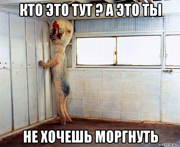 кто это тут ? а это ты не хочешь моргнуть
