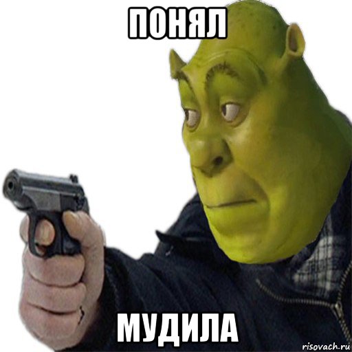 понял мудила, Мем Шрек с пестикам