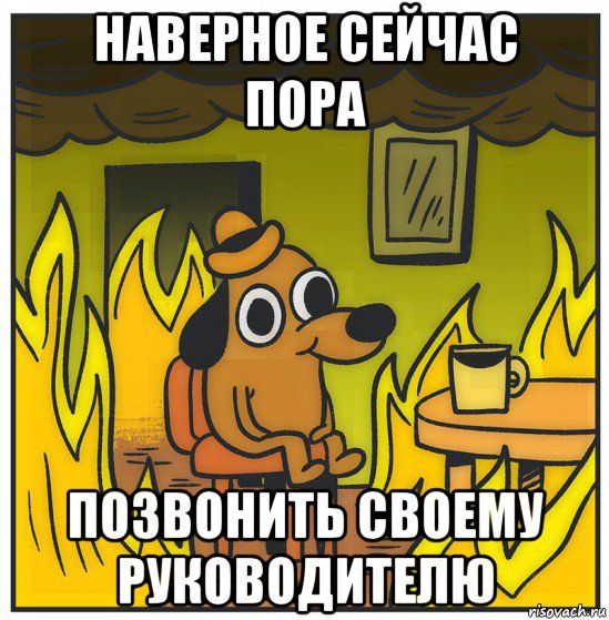 наверное сейчас пора позвонить своему руководителю