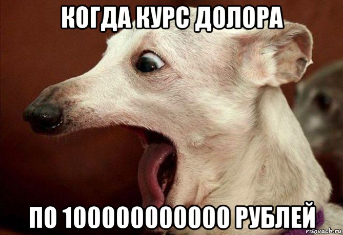 когда курс долора по 100000000000 рублей, Мем  собака