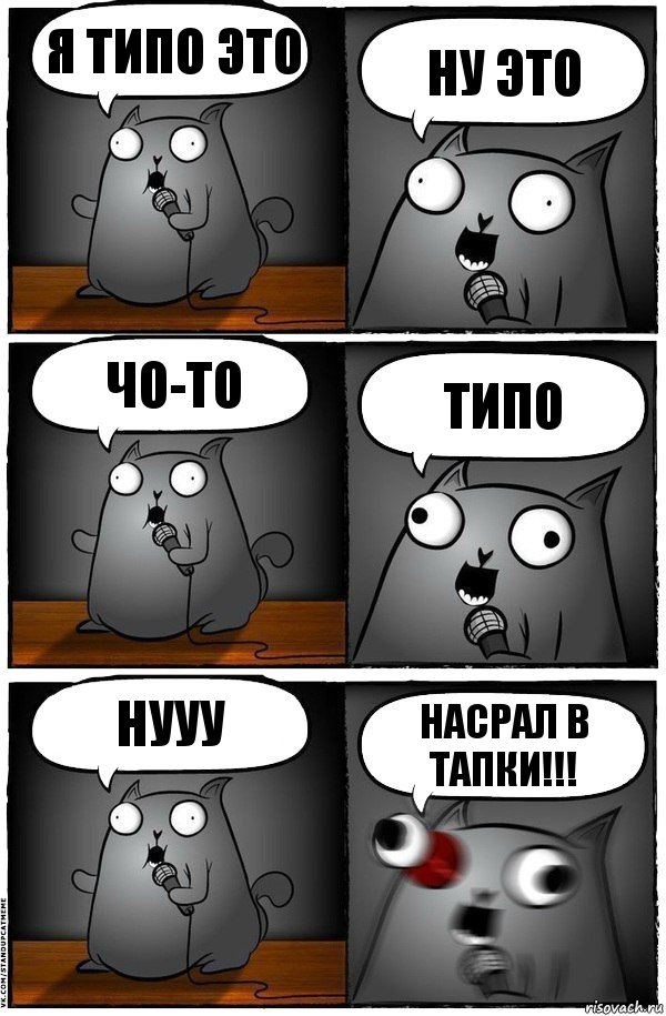 я типо это ну это чо-то типо нууу НАСРАЛ В ТАПКИ!!!, Комикс  Стендап-кот