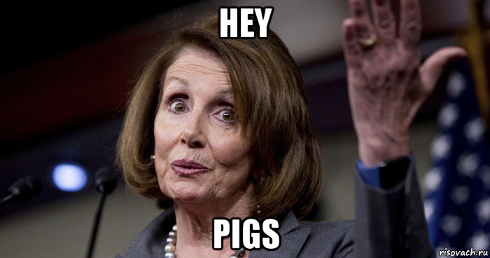 hey pigs