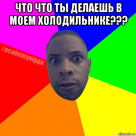 что что ты делаешь в моем холодильнике??? 