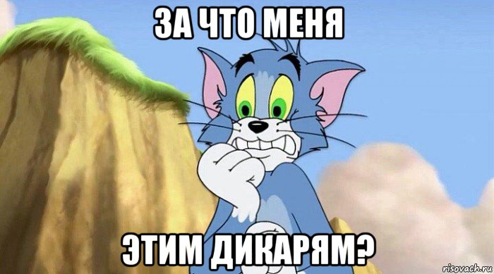 за что меня этим дикарям?