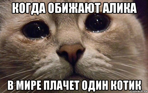 когда обижают алика в мире плачет один котик, Мем   В мире грустит один котик