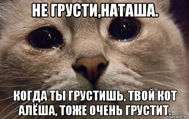 не грусти,наташа. когда ты грустишь, твой кот алёша, тоже очень грустит., Мем   В мире грустит один котик