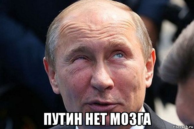  путин нет мозга, Мем Владимир путин