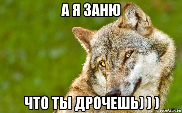 а я заню что ты дрочешь) ) ), Мем   Volf