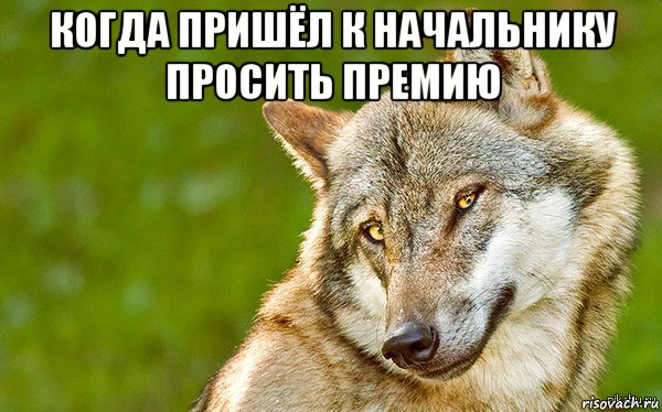 когда пришёл к начальнику просить премию , Мем   Volf