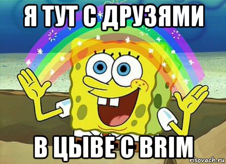 я тут с друзями в цыве c brim